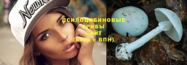 герыч Верхний Тагил