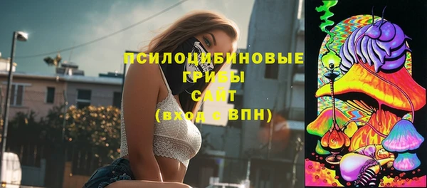 герыч Верхний Тагил